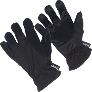 Gloves PNG