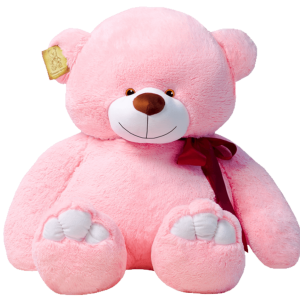 Teddy bear PNG