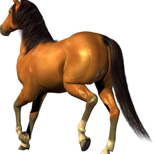 horse png image, free download picture, transparent background