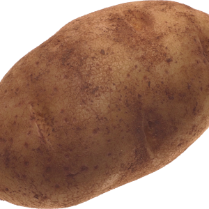 Potato PNG image without background