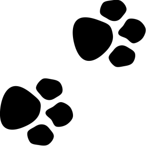 Paw PNG