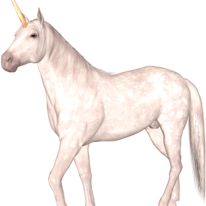 Unicorn PNG