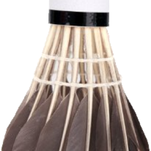 Badminton volant PNG image