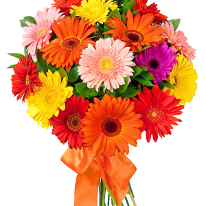 Bouquet flowers PNG
