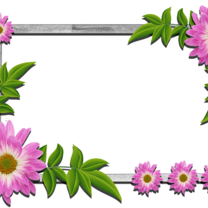 Floral frame PNG