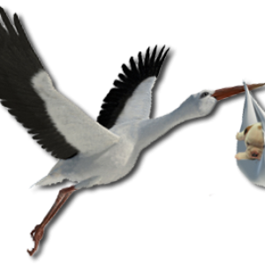 stork baby PNG