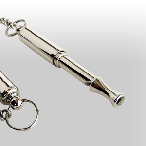 Whistle PNG