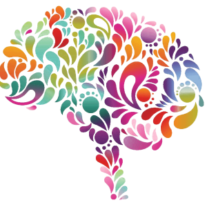 Brain PNG