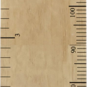 Ruler PNG