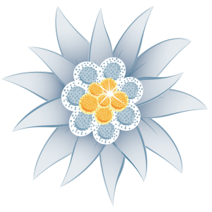 Edelweiss PNG