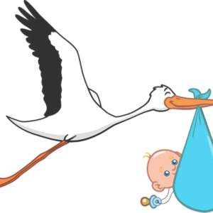 stork baby PNG
