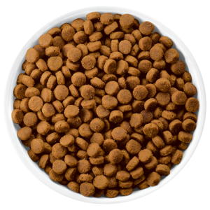 Dog food PNG