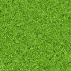 Carpet PNG