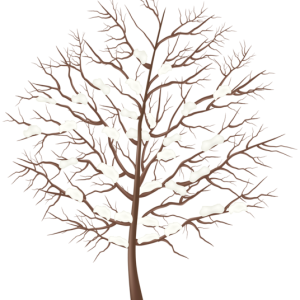 Winter PNG