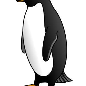 Penguin PNG image