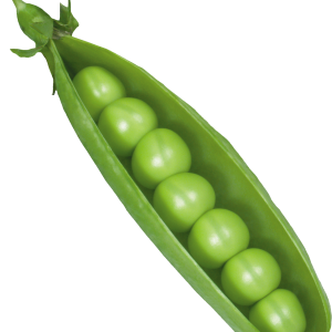 Pea PNG