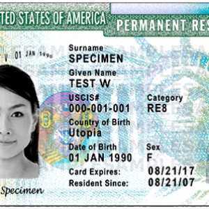 Green card PNG