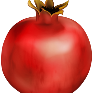 Pomegranate PNG