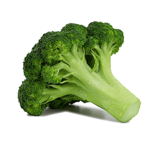 Broccoli PNG