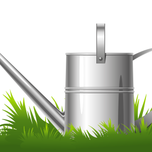 Watering can PNG