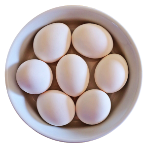 Eggs PNG