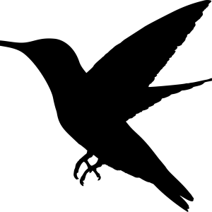 Hummingbird PNG