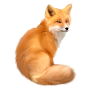 Fox PNG