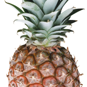Pineapple PNG image, free download