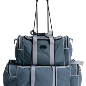Baggage, trolley bag PNG
