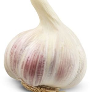 Garlic PNG