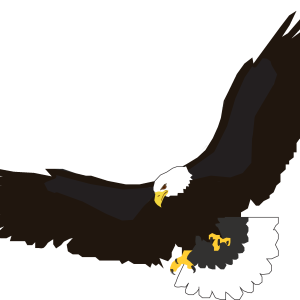 flying eagle PNG image, free download