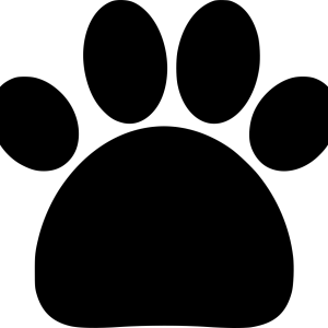 Paw PNG