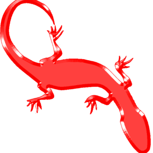 Gecko PNG