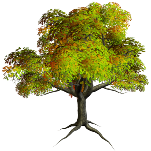 tree PNG