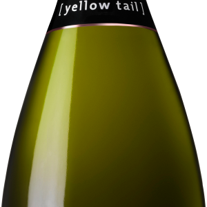 Champagne PNG transparent image