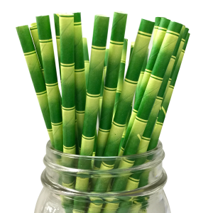 Bamboo PNG