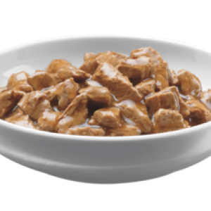 Dog food PNG