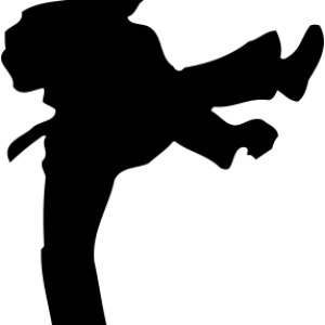 Karate siluete PNG