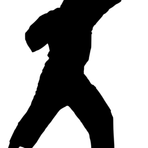 Karate PNG
