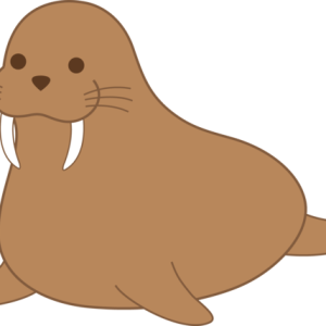 Walrus PNG