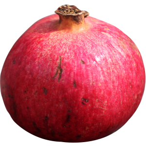 Pomegranate PNG