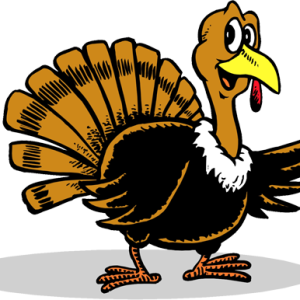 Turkey bird PNG
