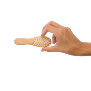 Hairbrush PNG