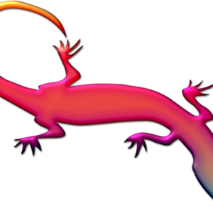 Gecko PNG