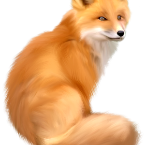 Fox PNG