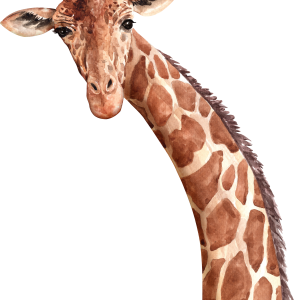 Giraffe PNG