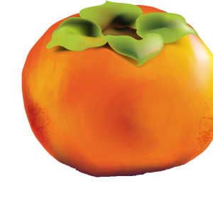 Persimmon PNG