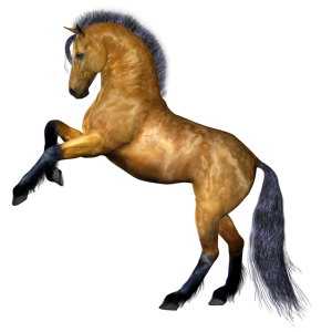 Horse png image