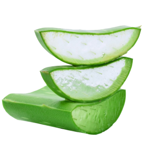 Aloe vera PNG