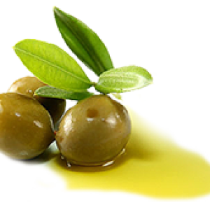 Olive oil PNG